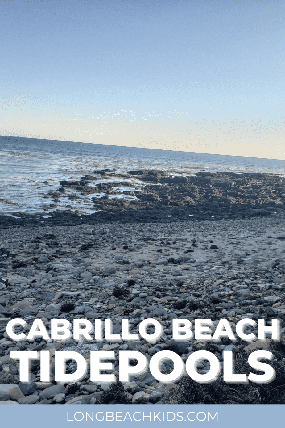 the tidepools at cabrillo; text: cabrillo beach tidepools